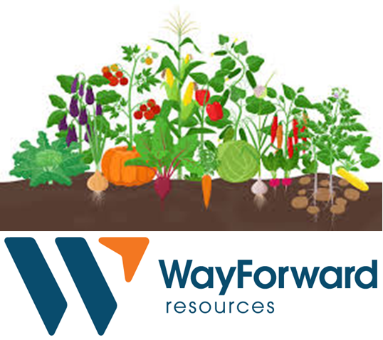 WayForward DC Garden Volunteer Days