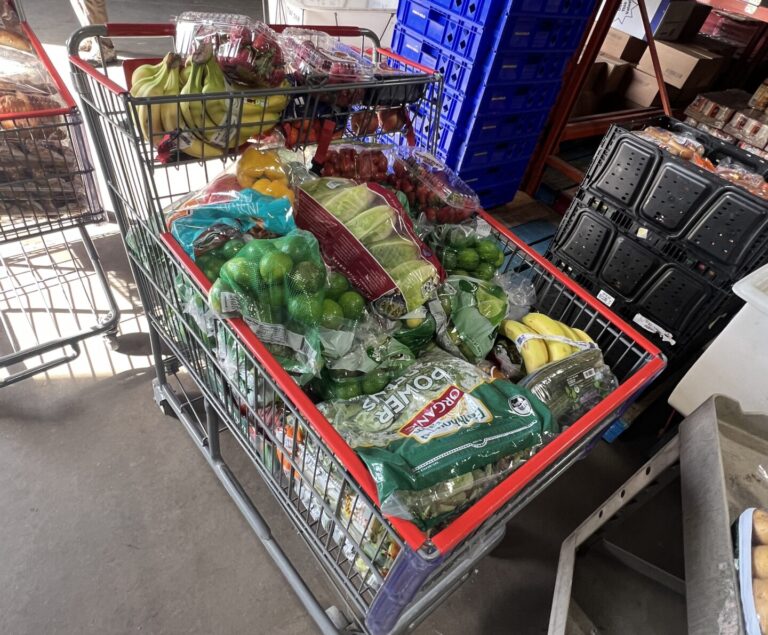 What is a food rescue?