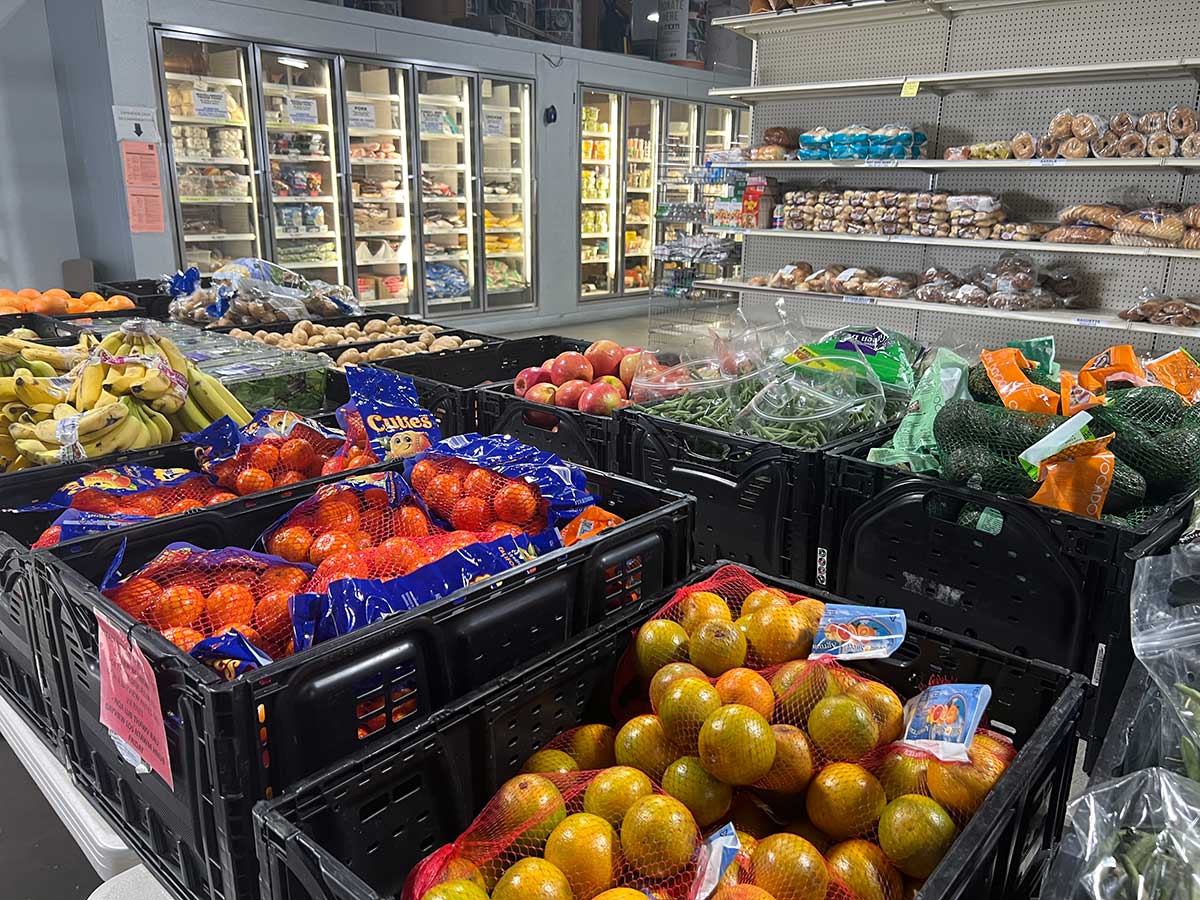 Critical Impacts of SNAP Benefits Delay